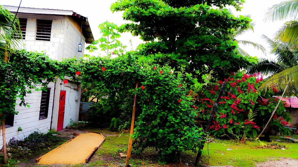 Casa Ricky'S Hostel Orange Walk Town Ngoại thất bức ảnh