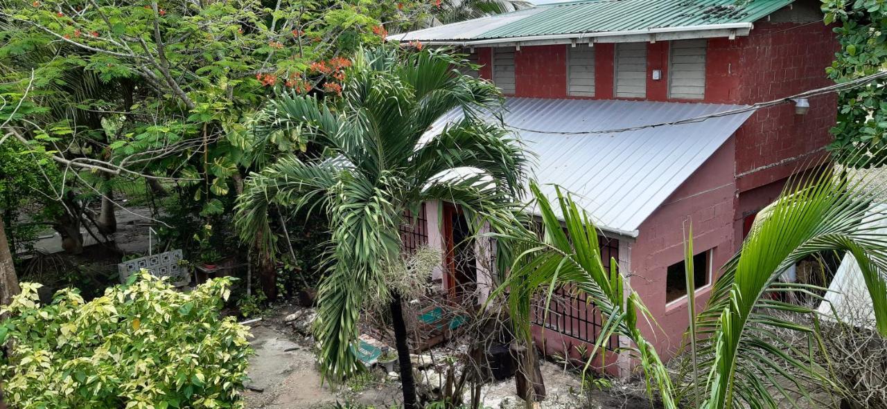 Casa Ricky'S Hostel Orange Walk Town Ngoại thất bức ảnh